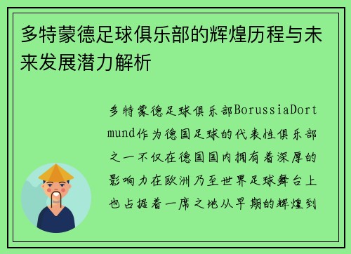 多特蒙德足球俱乐部的辉煌历程与未来发展潜力解析