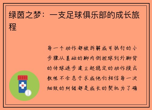 绿茵之梦：一支足球俱乐部的成长旅程